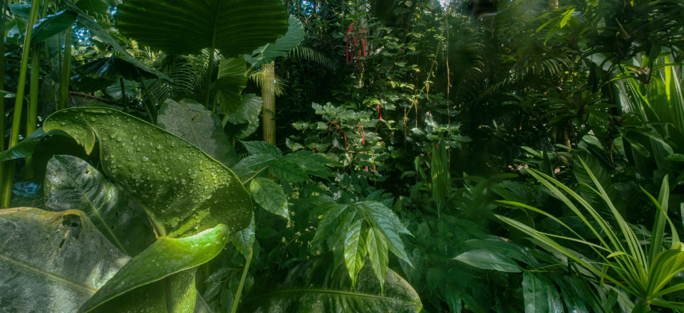 アドベンチャーランの写真